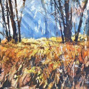 Autumn Sunbeams