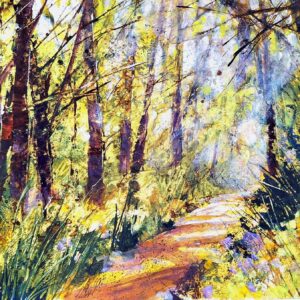 Sun and Misty Woods